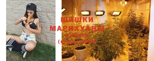 молекула духа Новодвинск