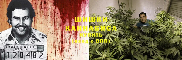 крисы Баксан