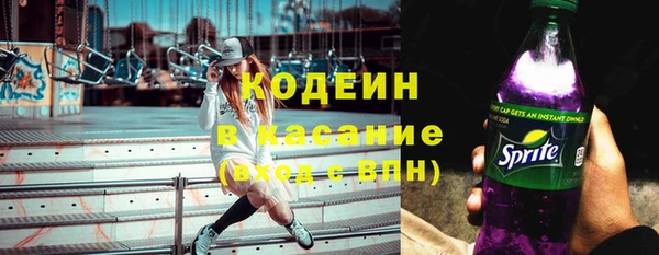 крисы Баксан